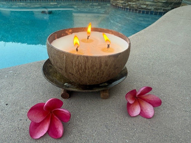 3-Wick Coconut Candle Bowl ~ Coconut Stand
