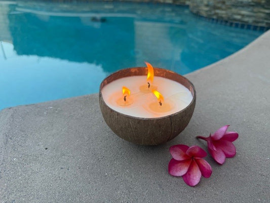 3-Wick Coconut Candle Bowl ~ NO STAND